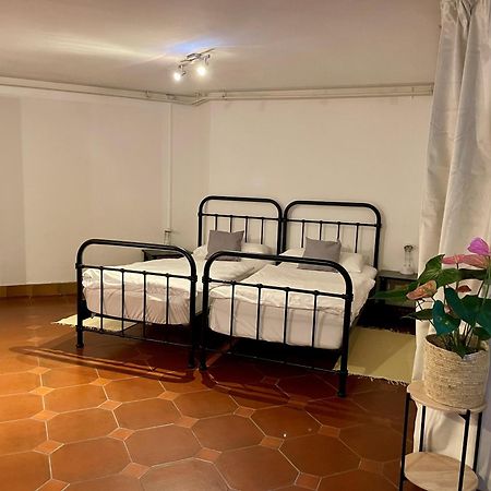 Gaestehaus Vigliarolo Gewerblich Jedes Zimmer Eigenes Bad Gemeinschaftskueche Elmshorn Luaran gambar